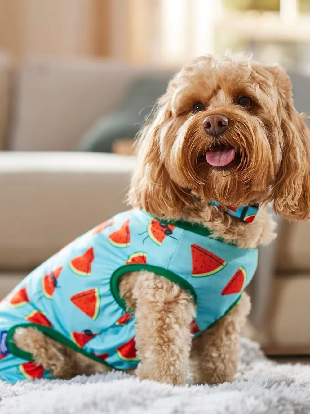 NWT Frisco Summer Watermelon Print Dog & Cat Jersey Pajamas Pet Chewy M